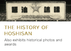 THE HISTORY OF HOSHISAN